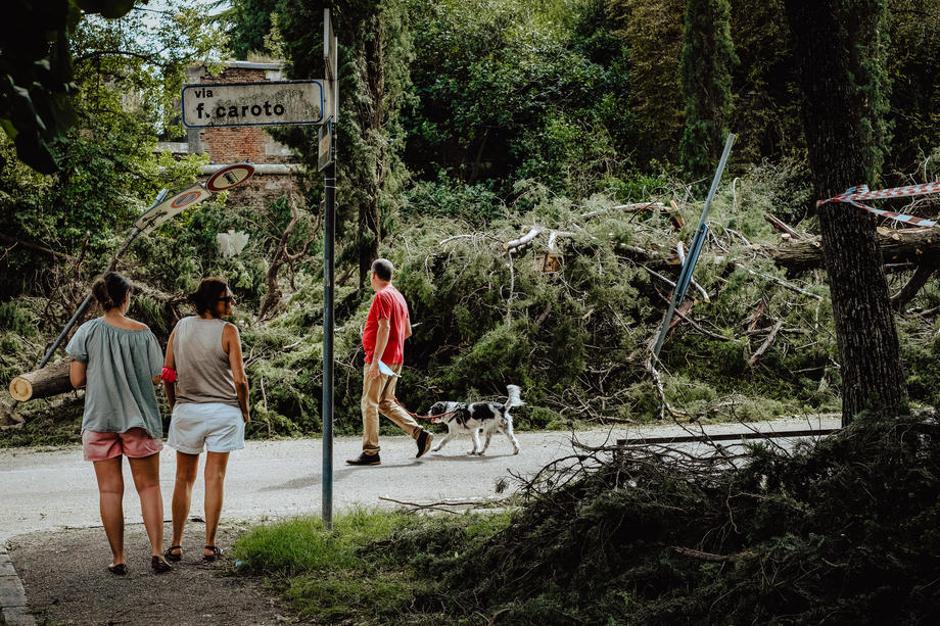 Neurje v severni Italiji | Avtor: Epa