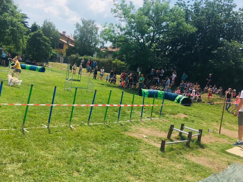 Festival za ljubitelje živali | Avtor: A. Š.