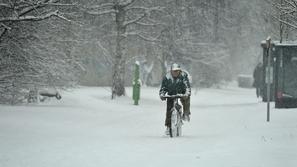 ljubljana 30.01.14, sneg, padavine, zima, pluzenje, ciscenje snega, kidanje, fot