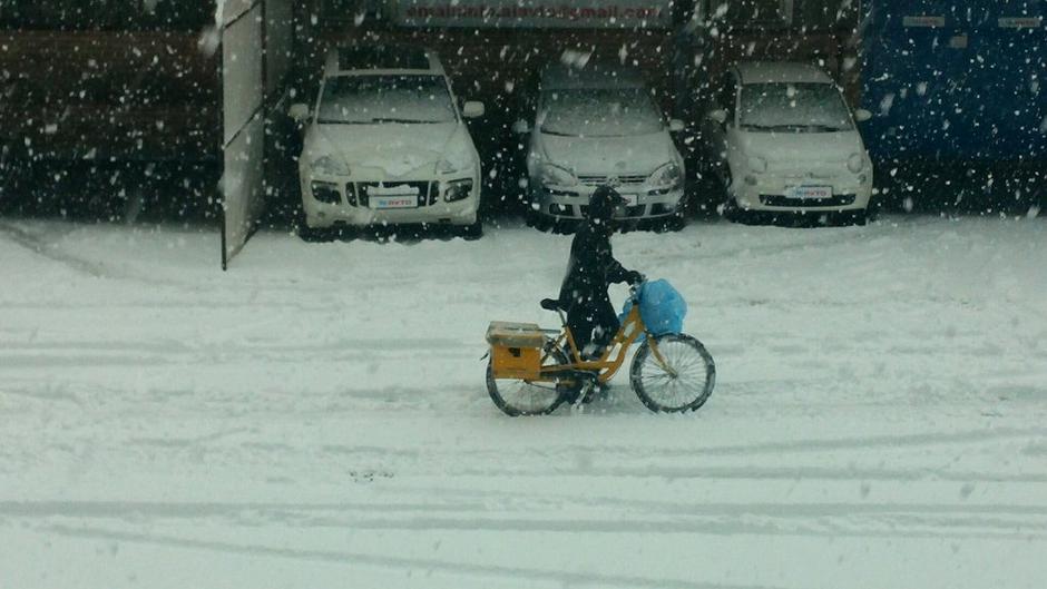 Sneg | Avtor: Žurnal24 main