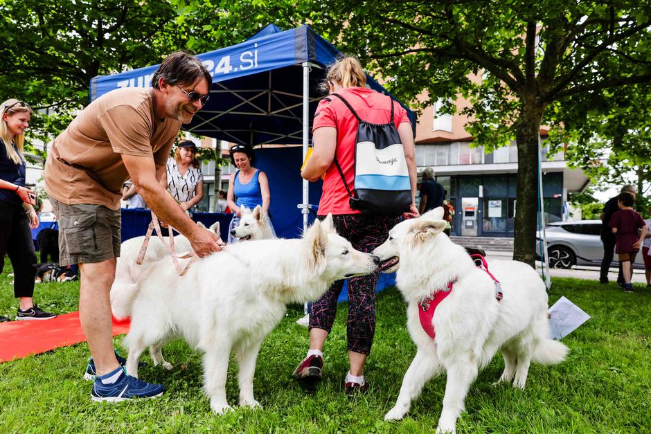 festival za ljubitelje živali | Avtor: Saša Despot