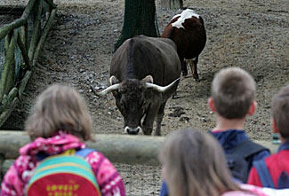 Slepi in slabovidni so imeli svoj dan v živalskem vrtu.