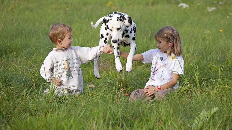 Pes skače z otrokom zunaj