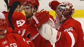 Detroit Red Wings : San Jose Sharks 3:1