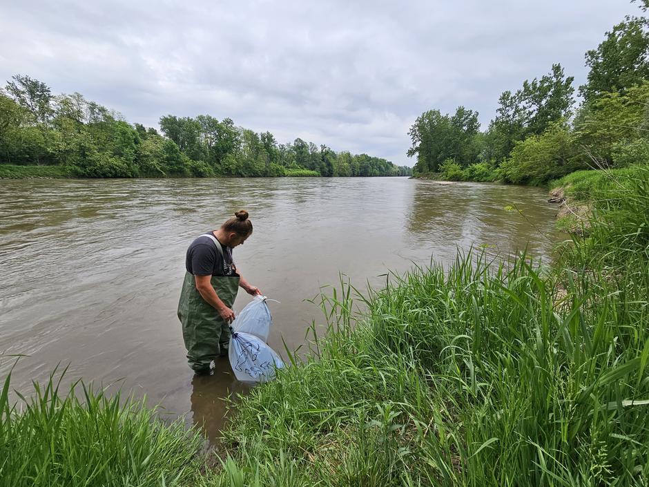 Reševanje kečig | Avtor: Inštitut REVIVO