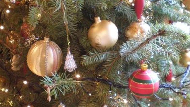 Fotografijo, ki je pritegnila največ ocen v prvem tednu glasovanja, je posnel na