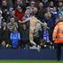 (Foto: Reuters)