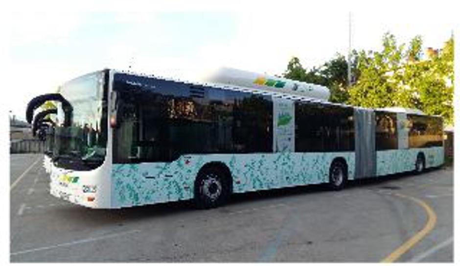 novi busi, LPP | Avtor: LPP