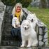 Samojed
