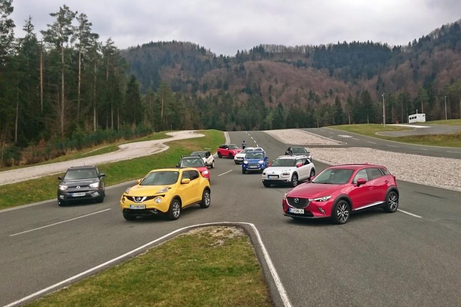 Test križancev | Avtor: zurnal24.si