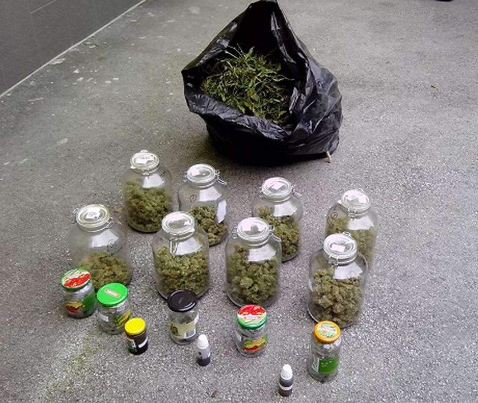 Posušena konoplja, marihuana