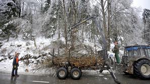 slovenija 05.02.14, zled, led, sneg, zima, naravna katastrofa, zlom drevja, gozd