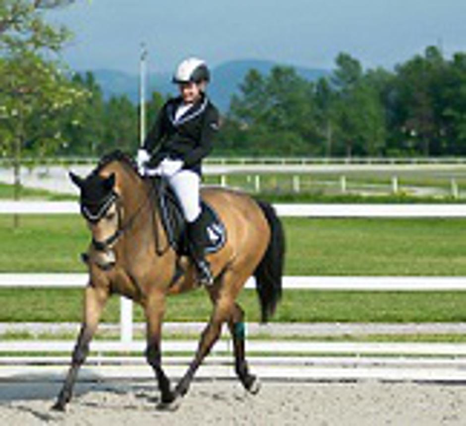 Sim | Avtor: Konjeniški klub Gibanje