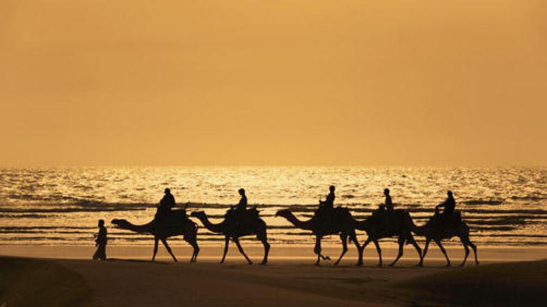 Če se odločite za vodeno potovanje pri turistični agenciji, bodite pozorni na to