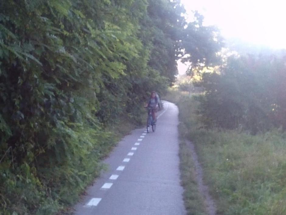 Zaraščena kolesarska steza | Avtor: Žurnal24 main