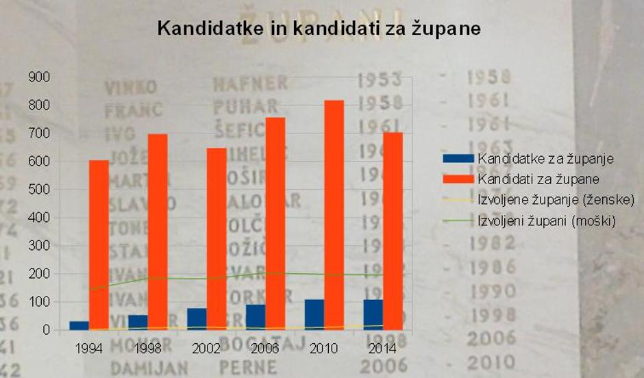 Lokalne volitve | Avtor: Žurnal24 main