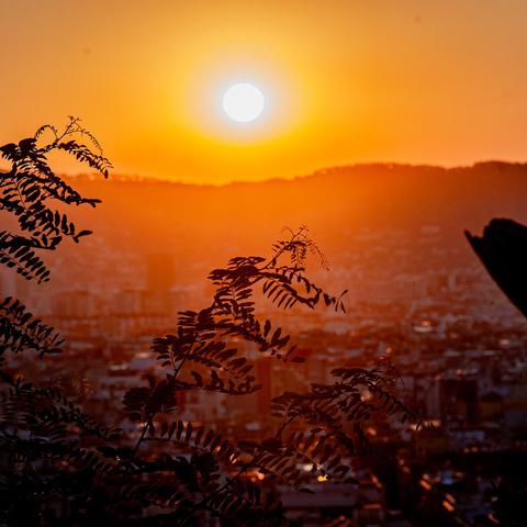 sonce nad Barcelono