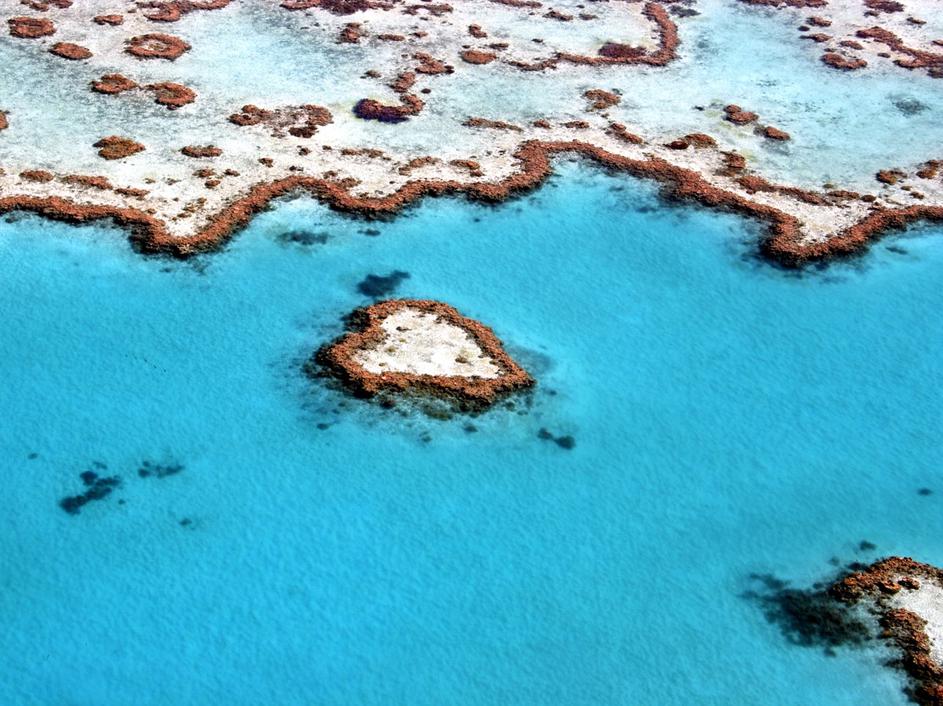 Veliki koralni greben, Heart Reef