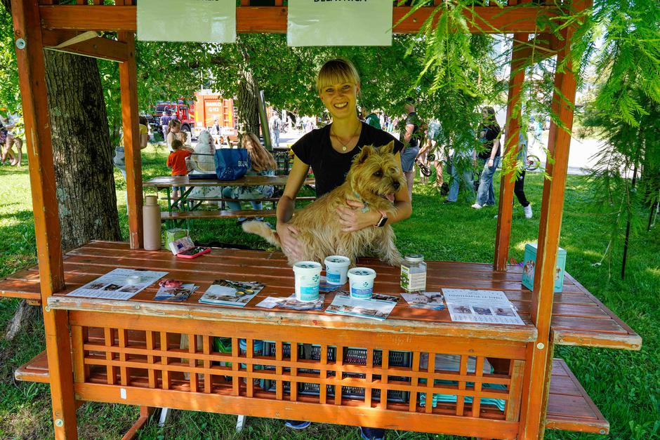 festival za ljubitelje živali | Avtor: Matija Janezic
