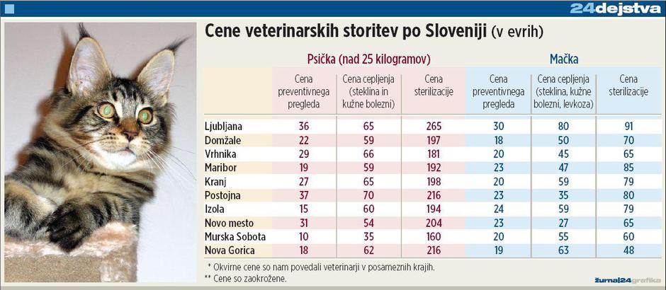  | Avtor: Žurnal24 main