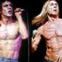 Iggy Pop