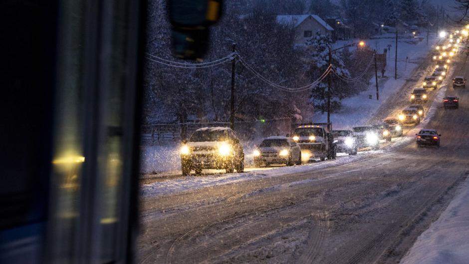 Denver sneg | Avtor: Reševalni pas/Twitter