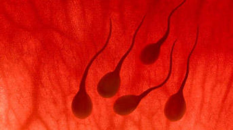 Izbrani darovalci so moški, ki uspešno donirajo ali obiskujejo banko nekajkrat t