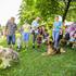 Festival za živali