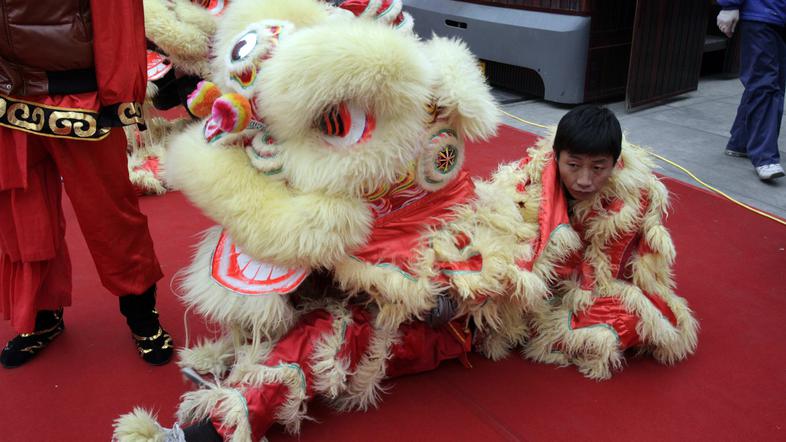 Letos je tigrovo leto. (Foto: Reuters)