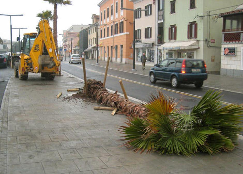  | Avtor: Žurnal24 main