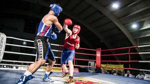 boks boksarska zveza