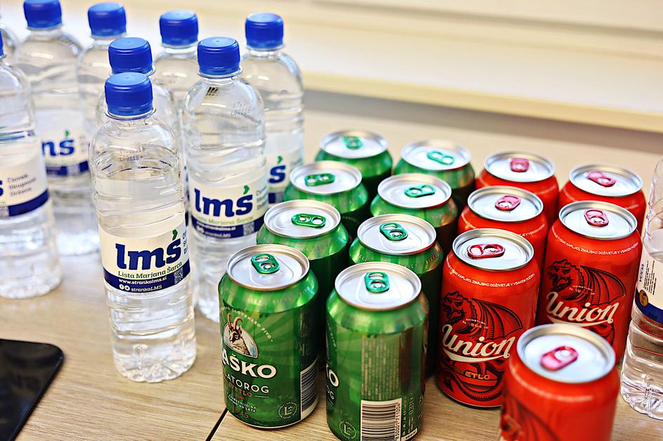 volitve v evropski parlament 2019