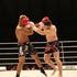 Admiral Markets Fight Night Miran Fabjan Yoann Kongolo