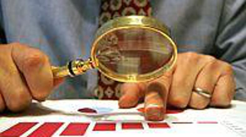 Po enem dnevu so stran s podatki o zaslužkih italijanskih državljanov umaknili.