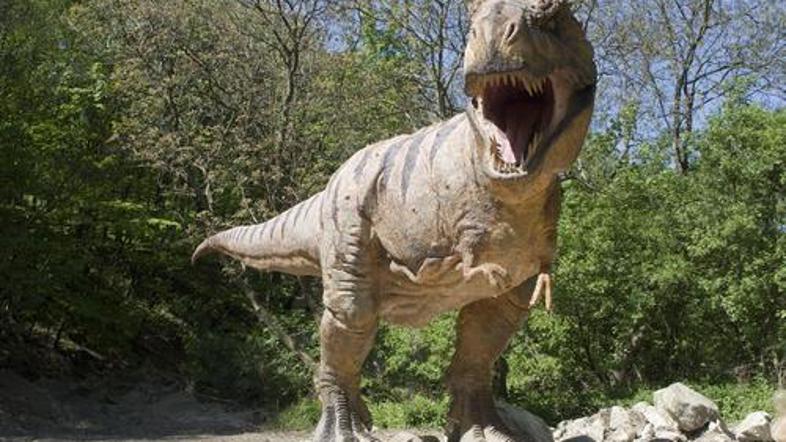 (Foto: Shutterstock)