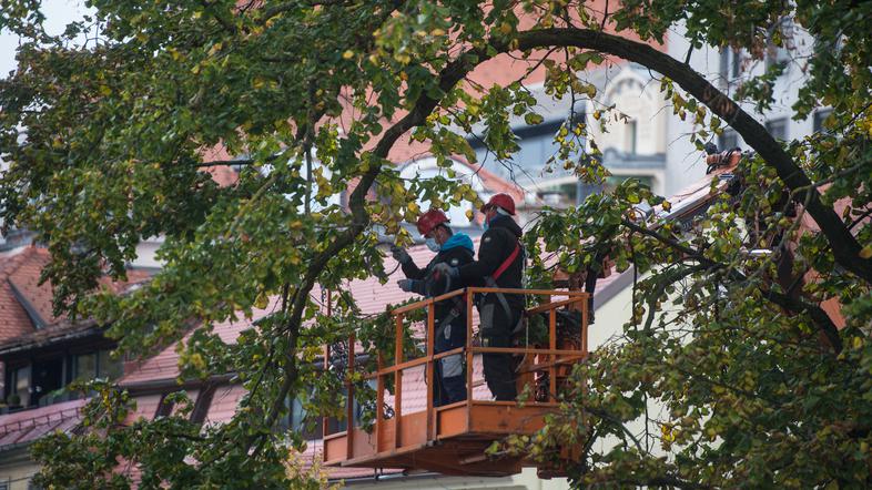 okraševanje Ljubljane