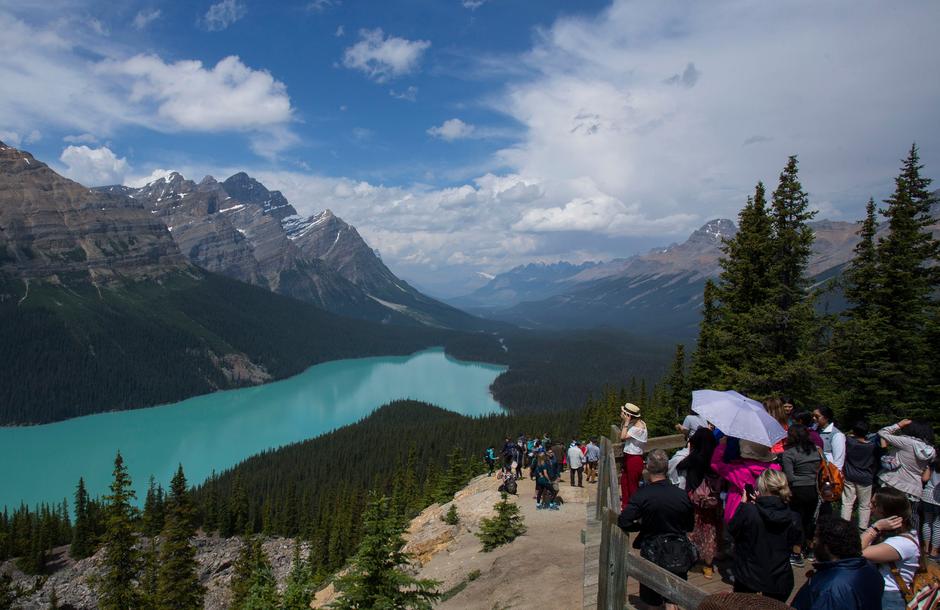 Banff Peyto Lake | Avtor: Profimedia