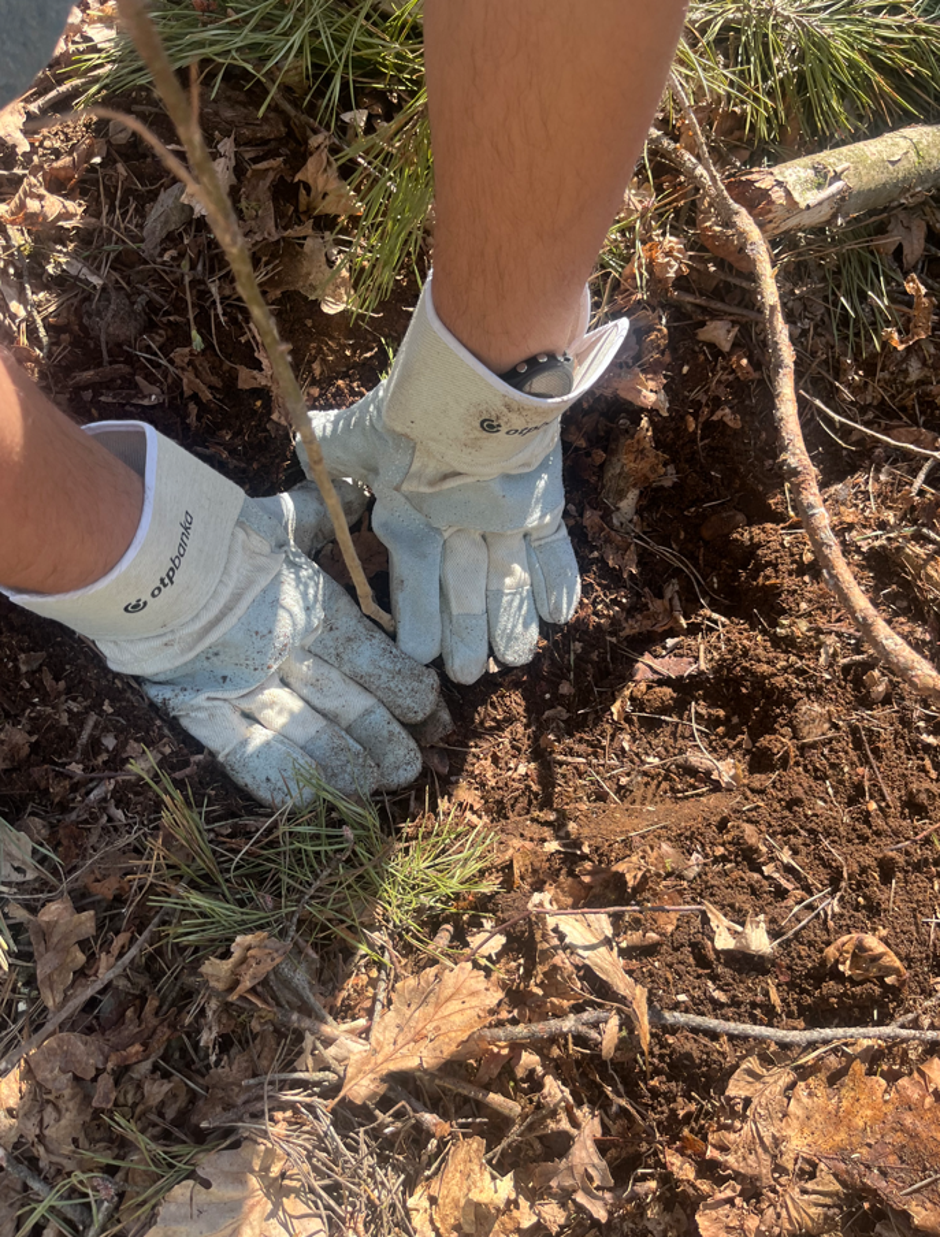 OTP banka | Avtor: OTP banka