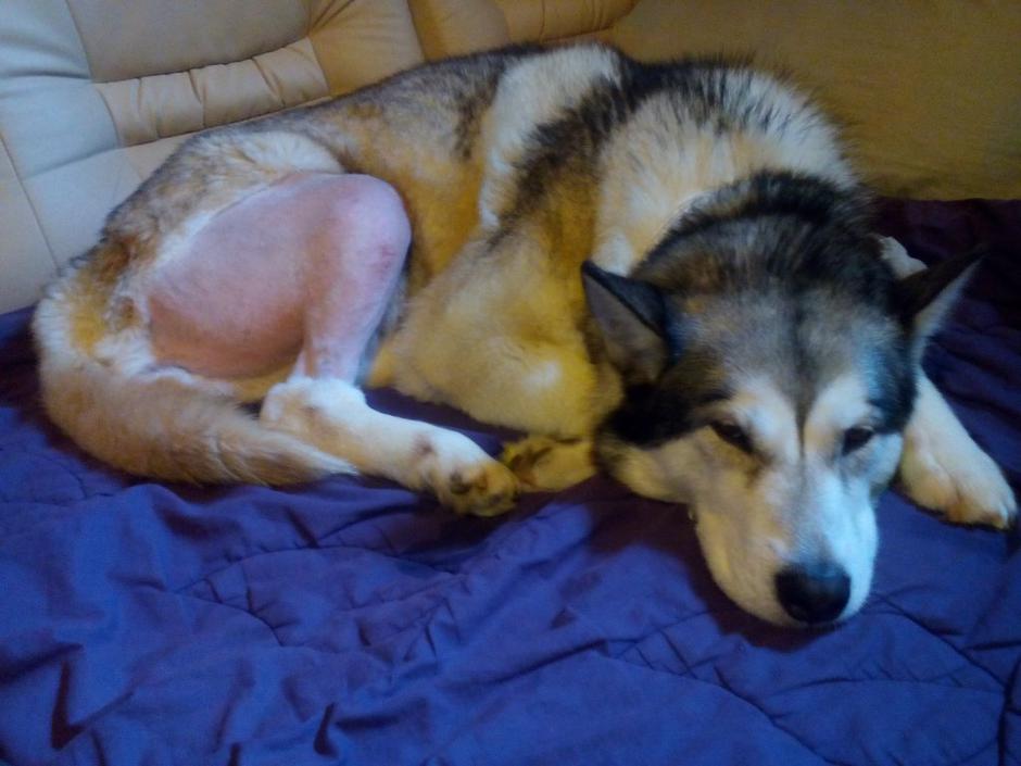 Nejc Rek | Avtor: Andreja Cilenšek