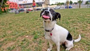 Žale želijo denar, ministrstvo pa pravi, da za plačilo ni pravne podlage. (Foto: