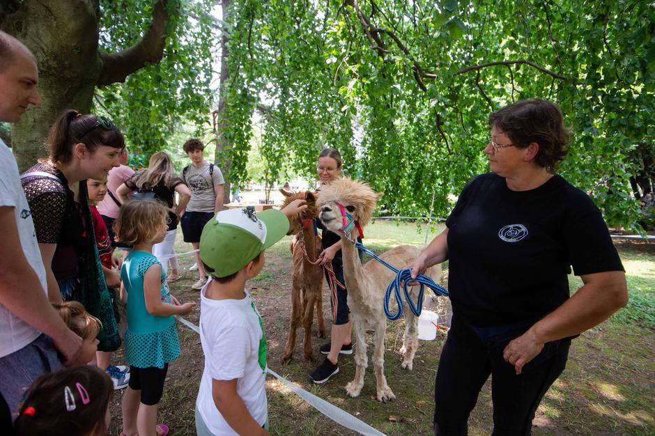 Festival za ljubitelje živali 2023 | Avtor: Anže Petkovšek