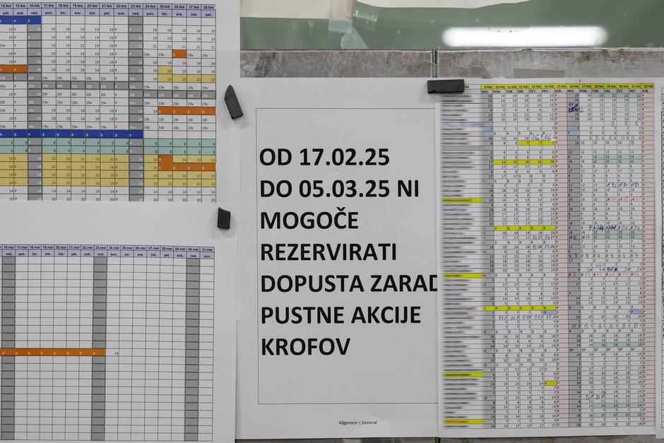 pustni krofi | Avtor: Saša Despot