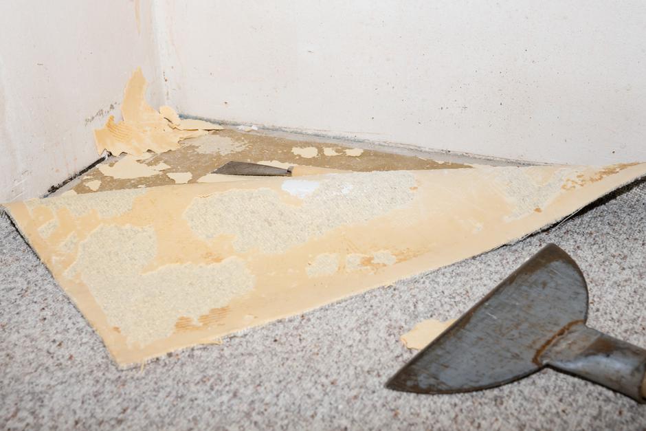 talne obloge | Avtor: Profimedia