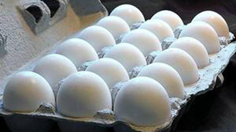 Salmonela se največkrat pojavlja v surovih jajcih.