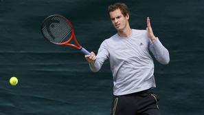 andy murray