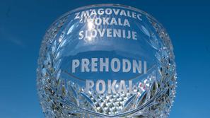 kristalni pokal Pokal Slovenije NZS