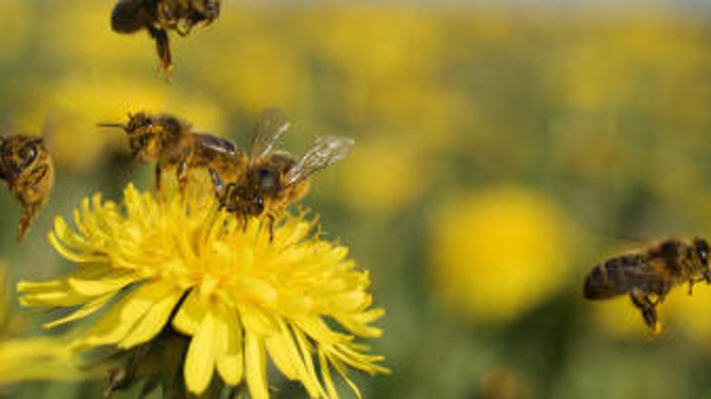 (Foto: iStockphoto)