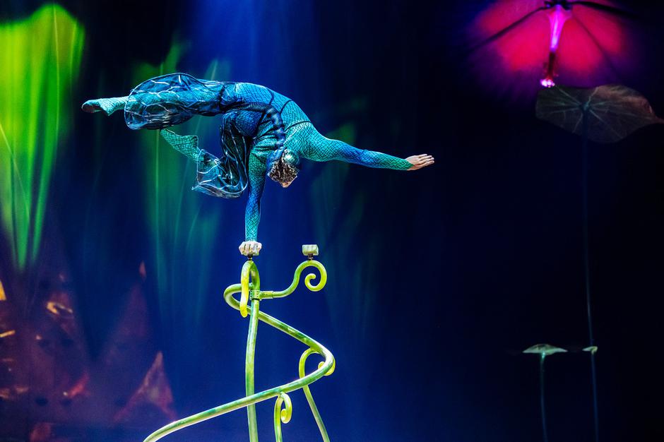 Cirque du Soleil, OVO | Avtor: Cirque du Soleil