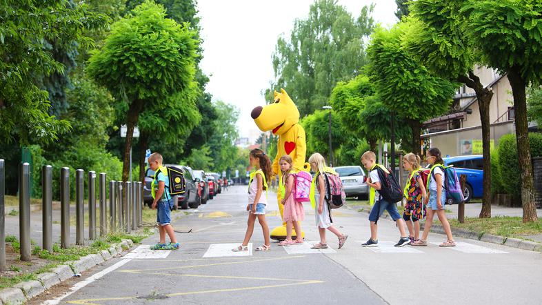 Zavarovalnica Triglav