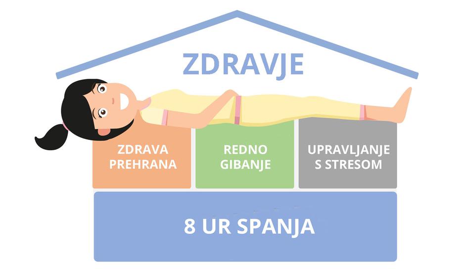 8 ur za zdravje | Avtor: 8 ur za zdravje